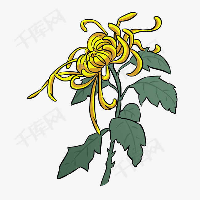 赏菊菊花卡通手绘插画素材图片免费下载-千库网