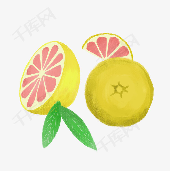 手绘果实水果西柚插画