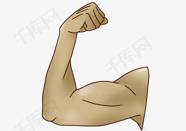 手臂健身肌肉插画