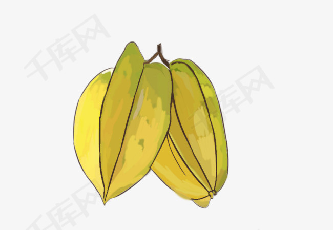 千库网提供新鲜水果杨桃插画矢量