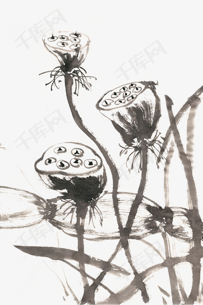 莲蓬与藕水墨画png免抠素材