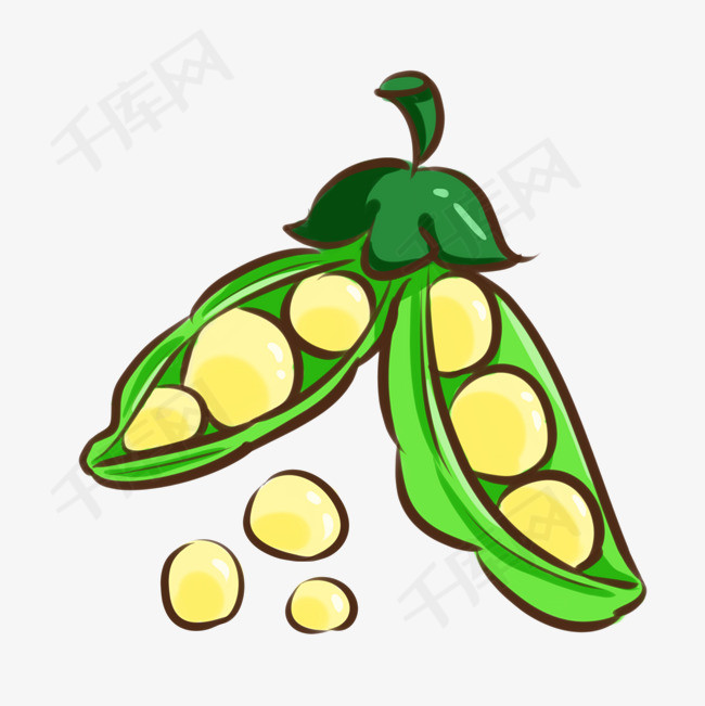 养生农作物大豆豆子插画