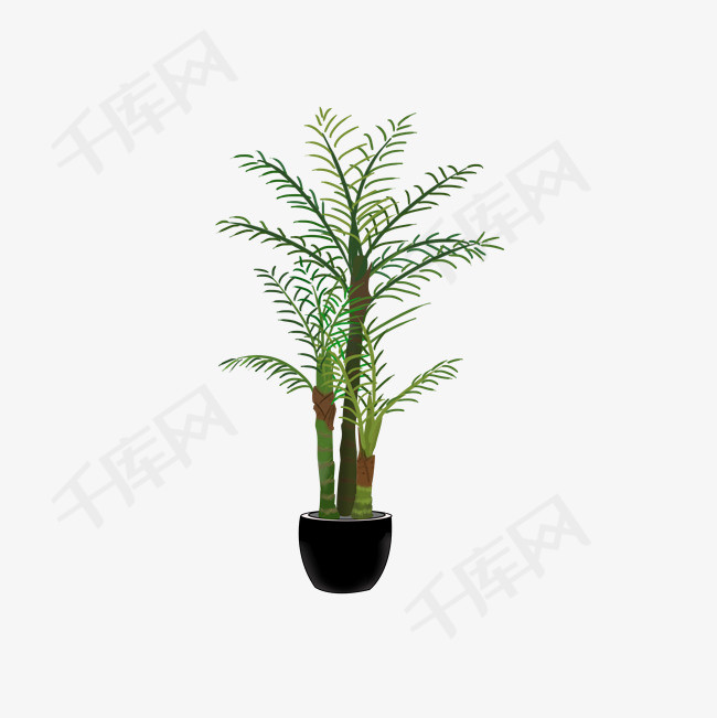 手绘卡通散尾葵植物绿色盆栽