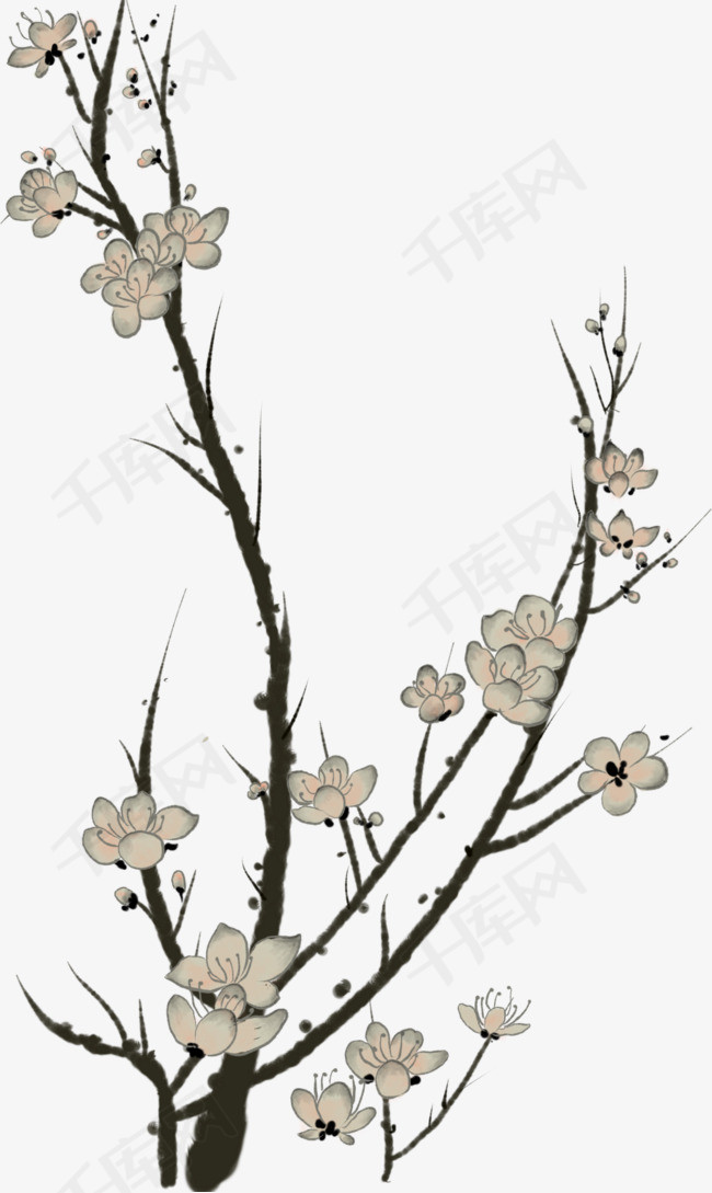 水墨风的一支梅花