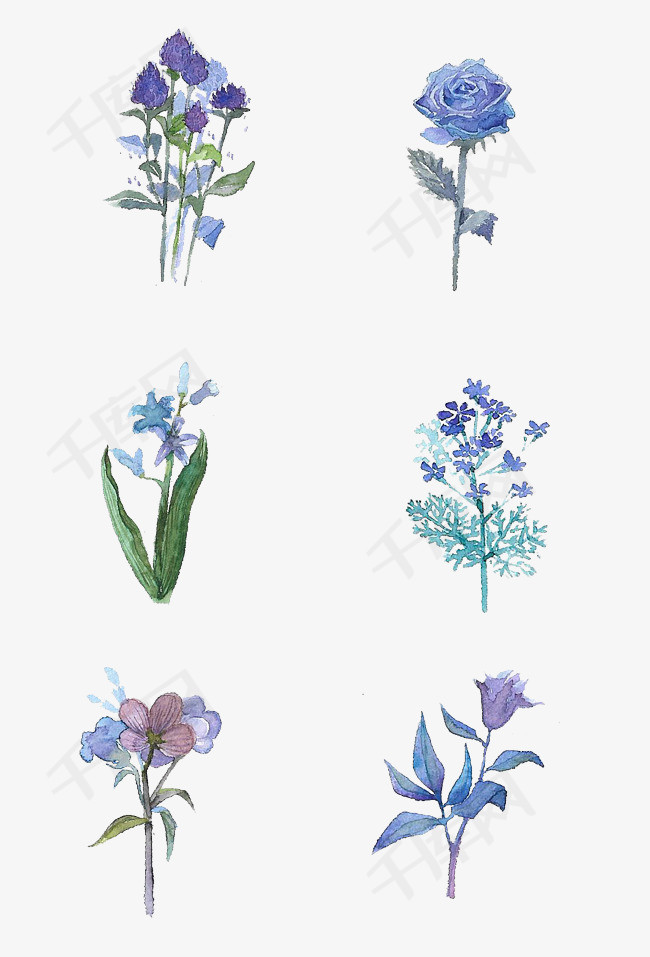 千库网 图片素材 手绘水彩蓝紫色系花朵手捧花免扣  手绘水彩蓝紫色系