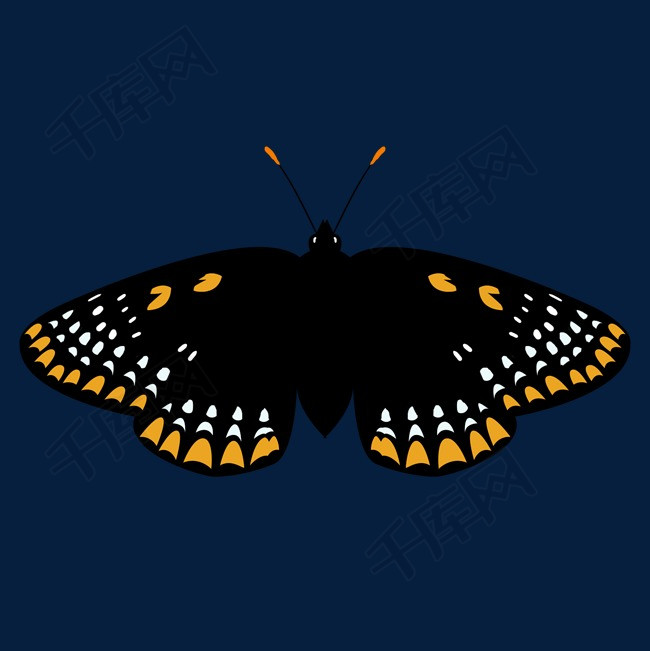 黑色斑点手绘花蝴蝶psd免抠图素材图片免费下载_高清