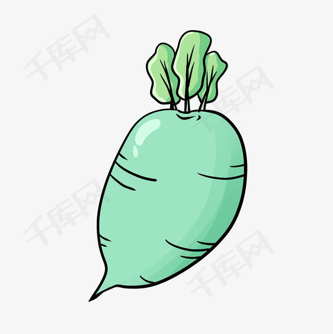 青绿色的大青萝卜