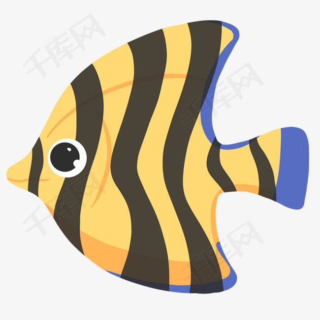 鱼彩色海洋水生物游泳鱼类