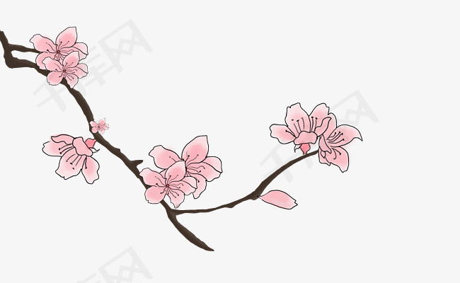 春分桃花手绘插画