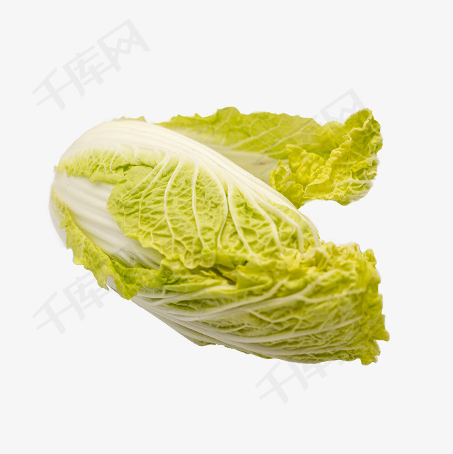 白菜娃娃蔬菜实物拍摄