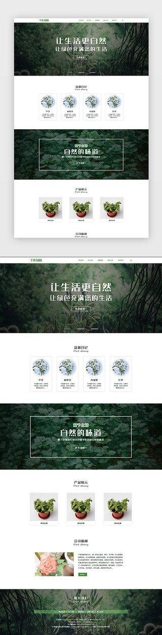 室内盆栽花卉UI设计素材_绿色植物通用企业网站首页