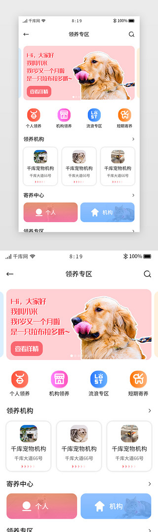 专区目录UI设计素材_卡片宠物APP领养专区