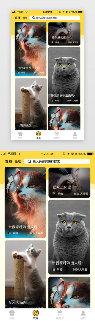 元气UI设计素材_黄色元气萌宠电商APP社交直播