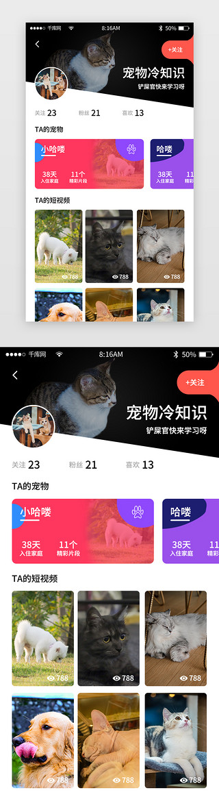 粉色简约宠物商城app详情页