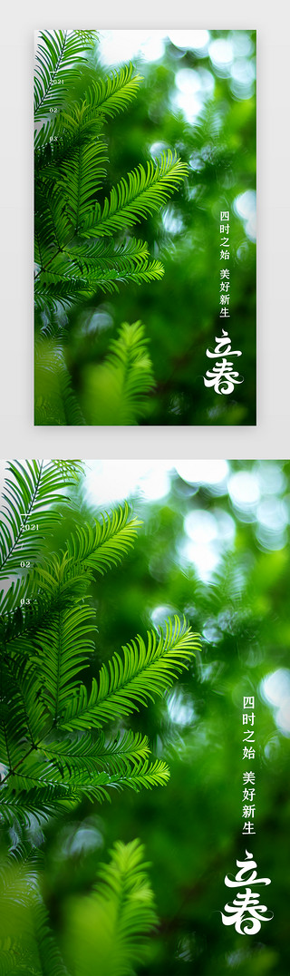 漂浮树叶UI设计素材_立春手机海报摄影绿色树林