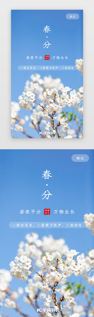千库网千樱花库网UI设计素材_二十四节气之春分闪屏、引导页小清新蓝色樱花