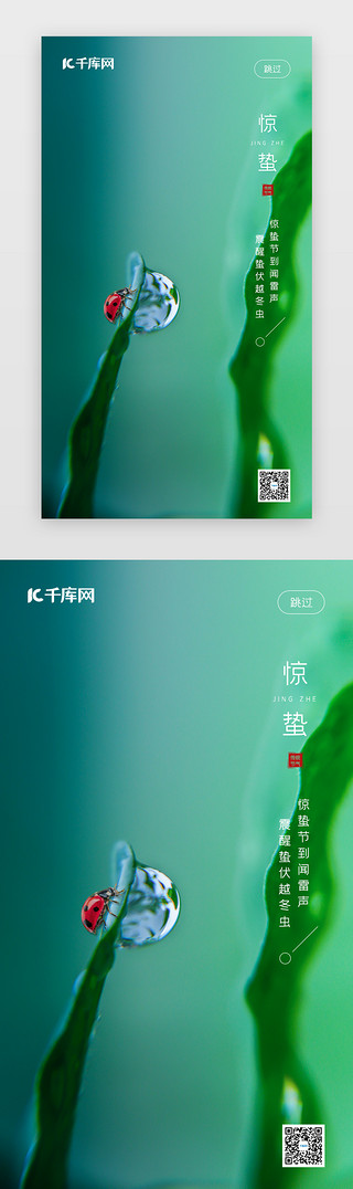 绿色简约节气UI设计素材_惊蛰节气闪屏引导页简约清新大气绿色露水树叶昆虫