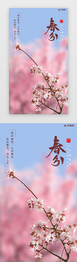 恋恋樱花季UI设计素材_春分闪屏时尚粉色樱花