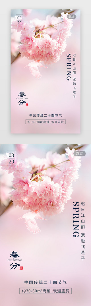 樱花羽毛羽毛UI设计素材_二十四节气春分app闪屏创意粉色樱花