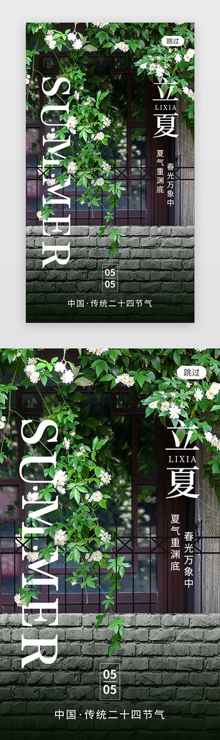 二十四节气立夏app闪屏创意绿色木香花