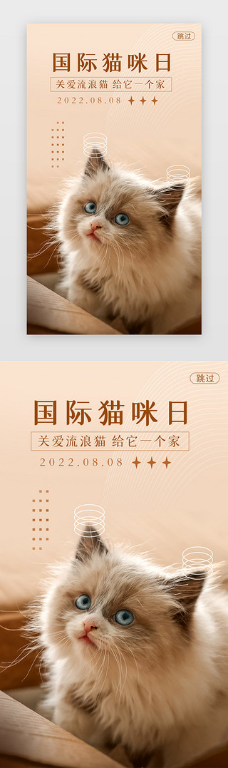国际亲吻日UI设计素材_国际猫咪日闪屏简约浅色猫咪