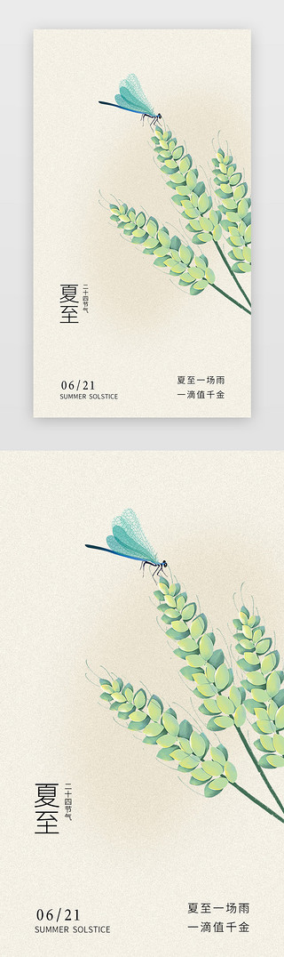 米色UI设计素材_夏至开屏互联网米色绿色夏至蜻蜓