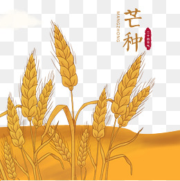 芒种绿色卡通农民