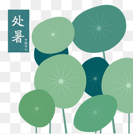 手绘处暑节气荷叶