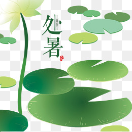 手绘绿色荷叶处暑素材图片免费下载_高清psd_千库网