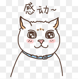表情感动小猫咪插画