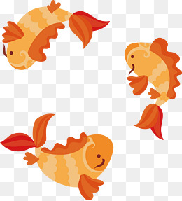 美丽水生动物鱼类鲤鱼锦鲤昭和三色鲤鱼