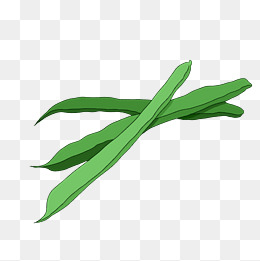 手绘卡通立秋秋天四季豆