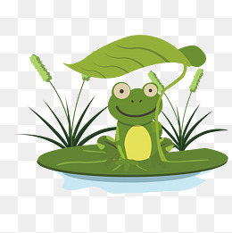 手绘荷叶下的青蛙矢量图