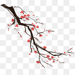 植物花枝水墨梅花插画