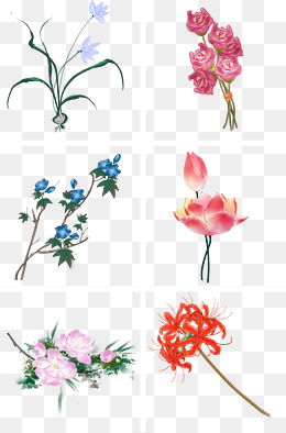 中国风水彩花png免扣素材图片免费下载_高清psd_千库