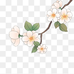 春天素色梨花手绘