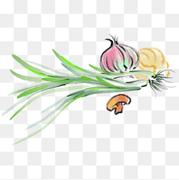 新鲜蔬菜手绘插画