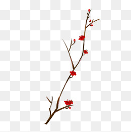 手绘漂亮的梅花插画素材图片免费下载_高清psd_千库网