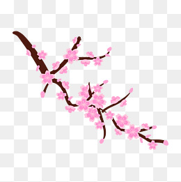 一枝梅花手绘插画
