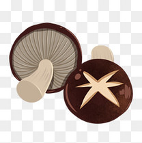 咖啡色英文化妆品盒子素材图片免费下载_高清