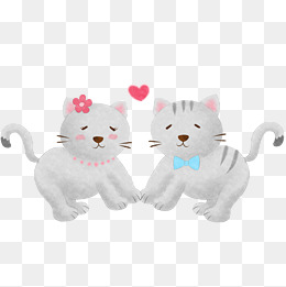 一只白色可爱的小猫宠物卡通元素
