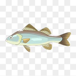 卡通海鲜海洋生物活鱼 鱼 鲈鱼