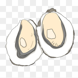 手绘海鲜生蚝插画