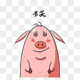 毛毛猪表情包苦笑
