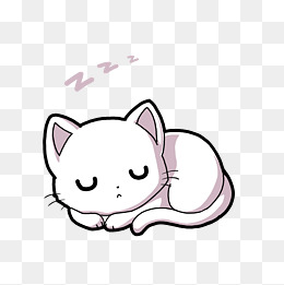 世界睡眠日可爱的猫咪