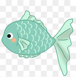 鱼橘色小丑鱼海洋生物可爱