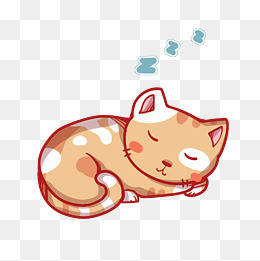 世界睡眠日小猫睡觉