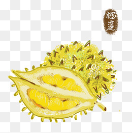 手绘榴莲金黄水果可爱装饰免费下载