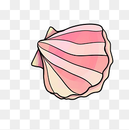 扇贝海洋生物贝壳