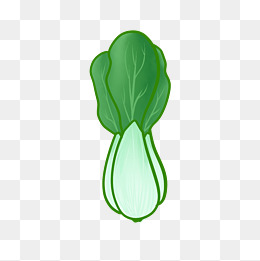 新鲜肥美的大油菜